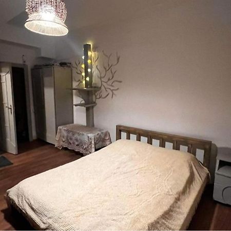 Hotel Mgzavrebi باكورياني المظهر الخارجي الصورة